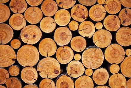 MANIFESTAZIONE DI INTERESSE PER LA VENDITA DI LEGNAME A TERRA DI