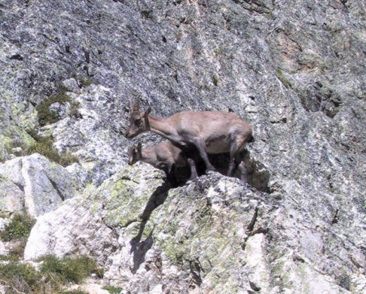 Immagini dal territorio