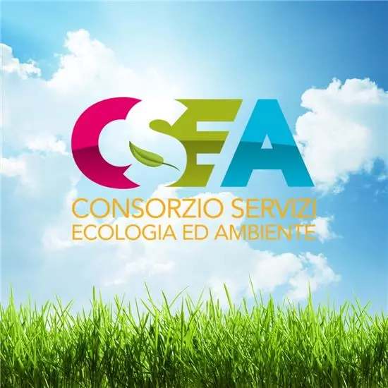 csea