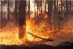 Dichiarazione stato di massima pericolosità incendi boschivi